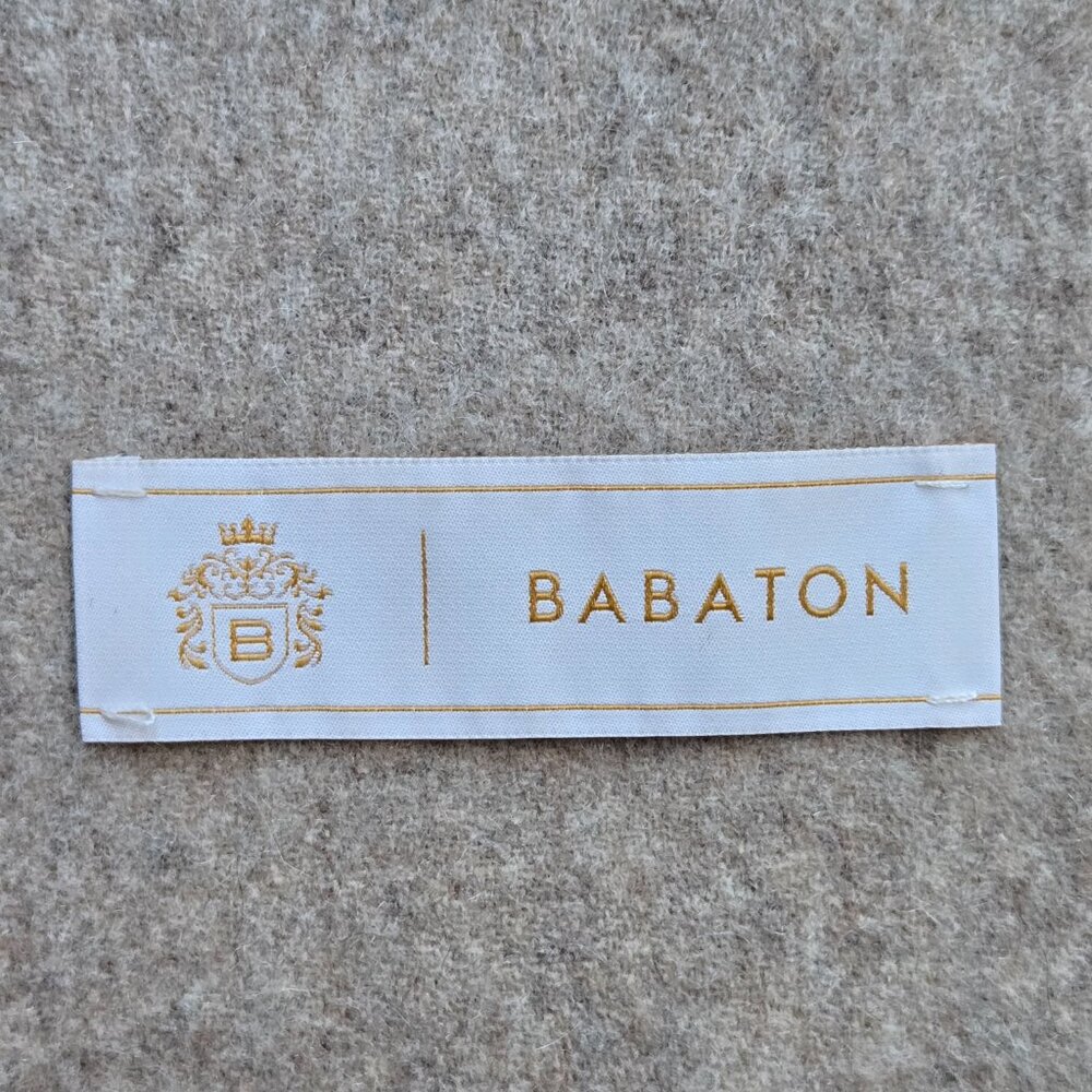 NWOT Babaton Cashmere Scarf Oatmeal Tan - Picture 4 of 11